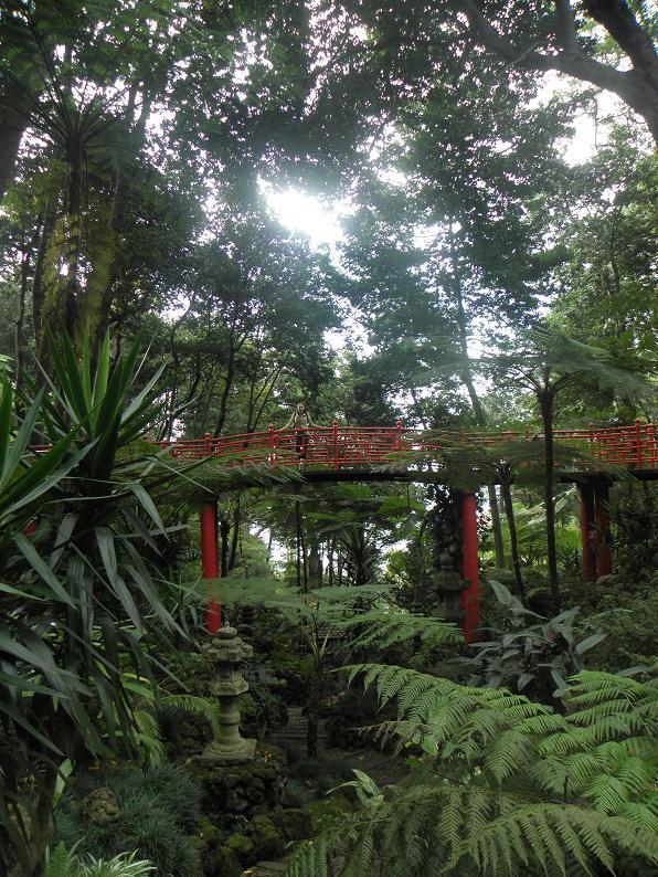 Madera, Ogród Tropikalny