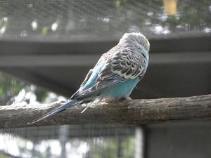 Madera, Ogród Botaniczny