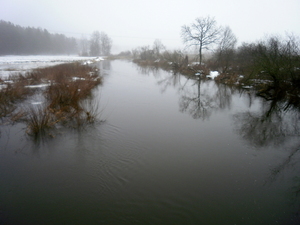 Zima - nad Drwęcą w okolicach Rodzonego