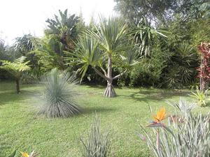 Madera, Ogród Botaniczny