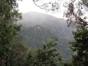 Madera, Ribeiro Frio