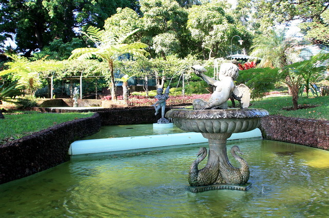 Jardim- fontanny 