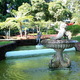 Jardim- fontanny 