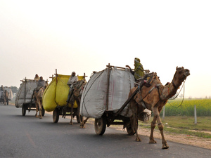 Transport drogowy w Rajastanie