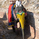 Słoń ilustrowany, Jaipur, Indie