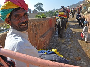 Kierowca slonia, Jaipur.