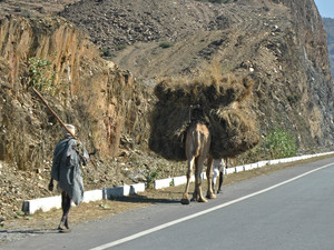 ...transport nożny w Rajastanie