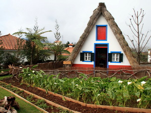 Chata plus ogródek 