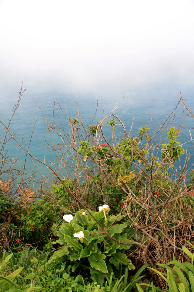 São Jorge- mgła nadchodzi od oceanu