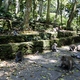 Ubud, Bali - Monkey Forest