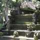 Ubud, Bali - świątynia w Monkey Forest