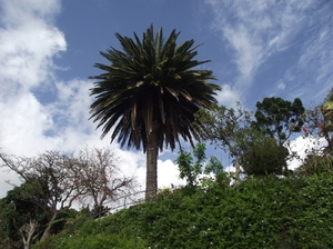Madera   01 2011 096