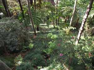 Madeira 2011 styczen 019