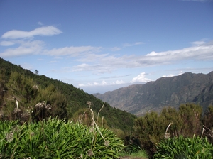Madeira 2011 styczen 210