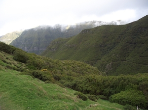 Madeira 2011 styczen 342