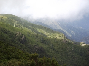 Madeira 2011 styczen 348