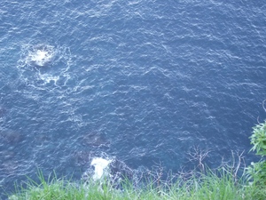 Madeira 2011 styczen 242