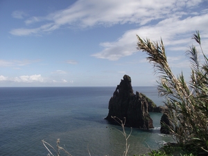 Madeira 2011 styczen 260