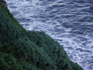 Madeira 2011 styczen 266
