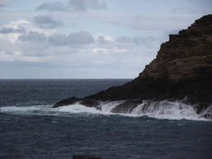 Madeira 2011 styczen 291