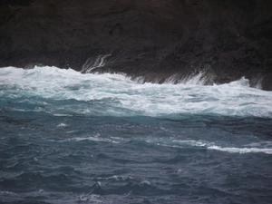 Madeira 2011 styczen 295