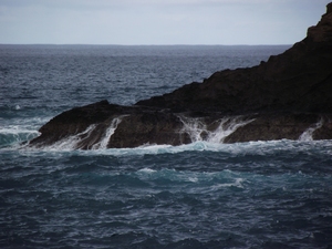 Madeira 2011 styczen 296