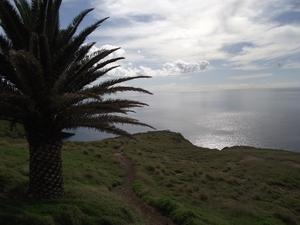 Madeira 2011 styczen 372