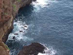 Madeira 2011 styczen 389