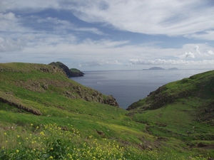 Madeira 2011 styczen 416