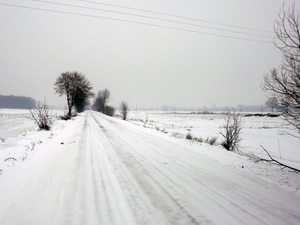 Zima - okolice Strzegowa