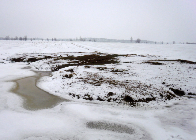 Zima - okolice Strzegowa