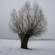 Zima - okolice Strzegowa
