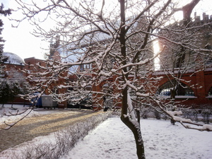 Toruń