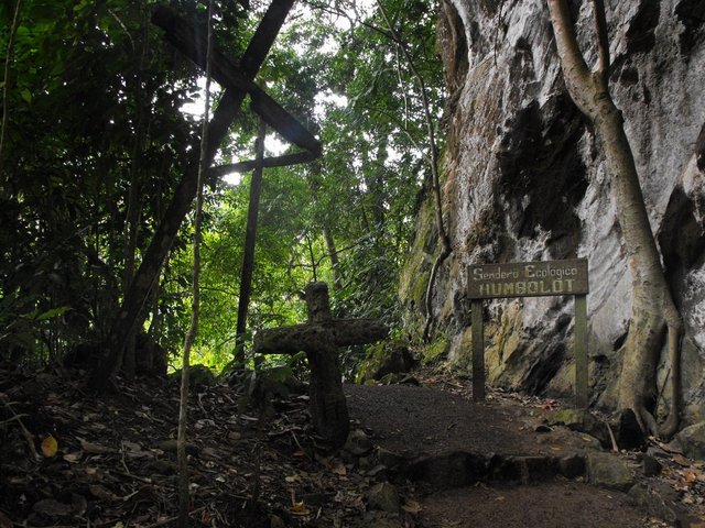 przy jaskinii Guacharo