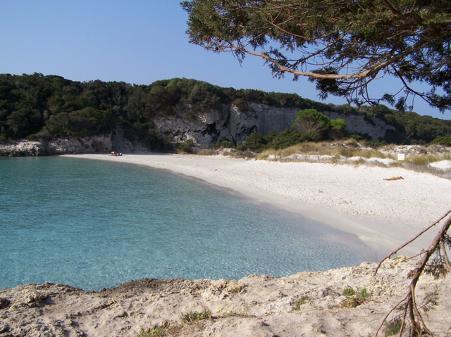 Bonifacio