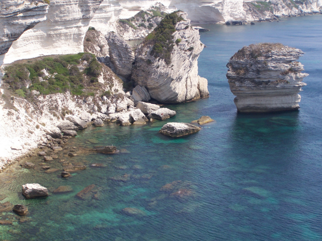 Bonifacio