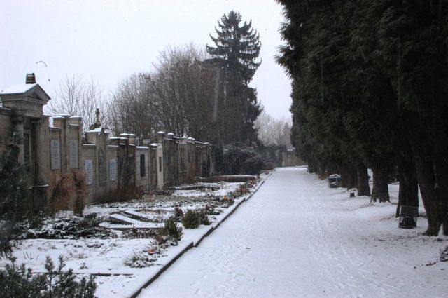 Stary cmentarz komunalny