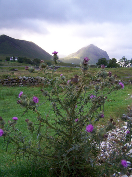 Skye