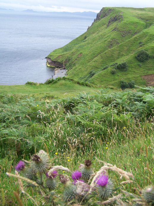 Skye
