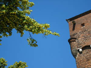 Kraków