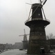 Schiedam, największe na świecie wiatraki