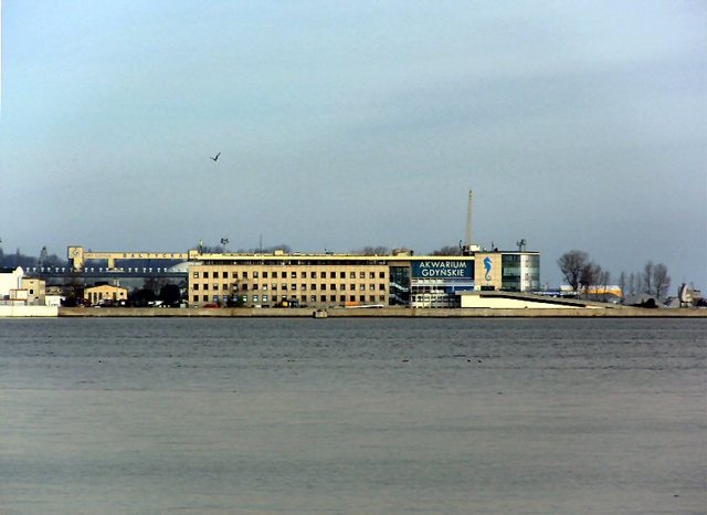 Gdynia - styczeń 2011 - bulwar  nadmorski