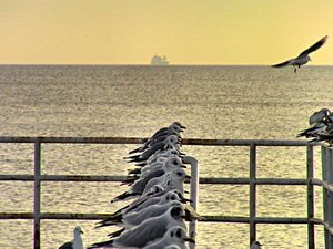 Gdynia - styczeń 2011 - bulwar  nadmorski