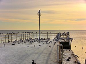 Gdynia - styczeń 2011 - bulwar  nadmorski
