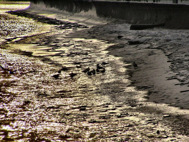 Gdynia - styczeń 2011 - bulwar  nadmorski