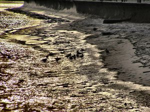 Gdynia - styczeń 2011 - bulwar  nadmorski