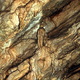 Bielianska jaskina14