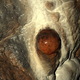 Bielianska jaskina18