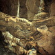 Bielianska jaskina26
