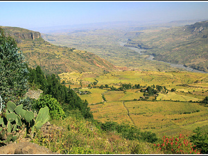 Etiopia 0202